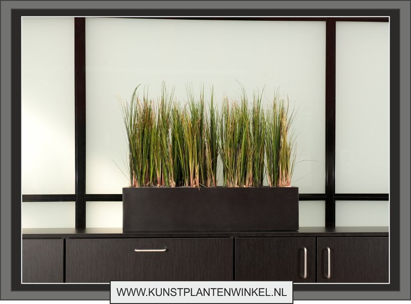 balcony met gras zonder pluim